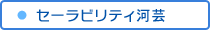 Z[reB͌|